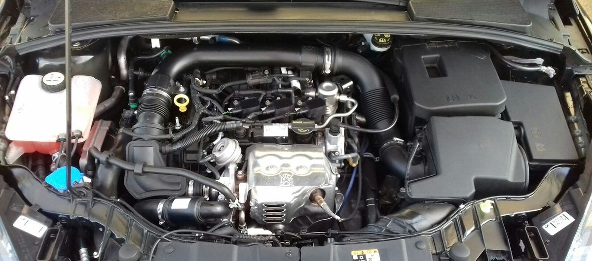 Kenapa Tikus Sering Masuk ke Ruang Mesin Mobil? Ini Penyebab & Cara Mencegahnya