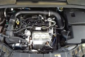 Kenapa Tikus Sering Masuk ke Ruang Mesin Mobil? Ini Penyebab & Cara Mencegahnya