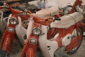 Foto: 🇻🇳🇻🇳 Việt Anh Nguyễn 🇻🇳🇻🇳 / Pexels